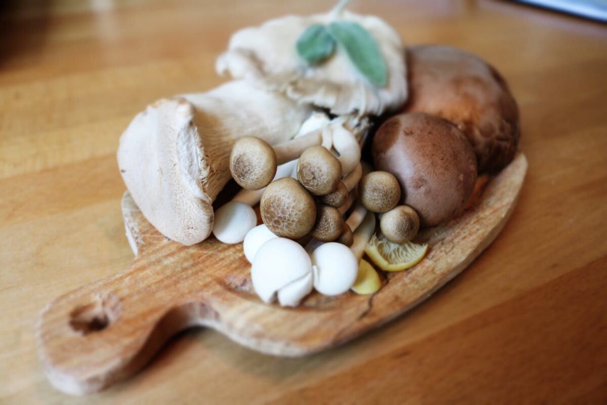 Consuming Mushrooms Could Reduce Chances Mild Cognitive Impairment by 50% In Seniors