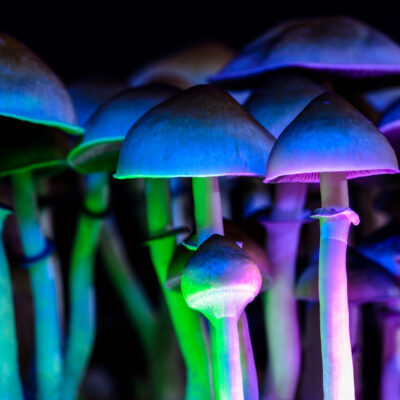 The UK Government Places Its Bet On The Psychedelics Industry