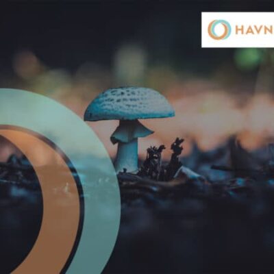 Havn Life Sciences Inc. (OTCMKTS:HAVLF) Enters Deal With Nesters Markets To List Seven Natural Health Products