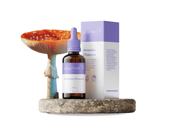 Psyched Wellness Submits Patent Application for Amanita Muscaria Extract AME-1
