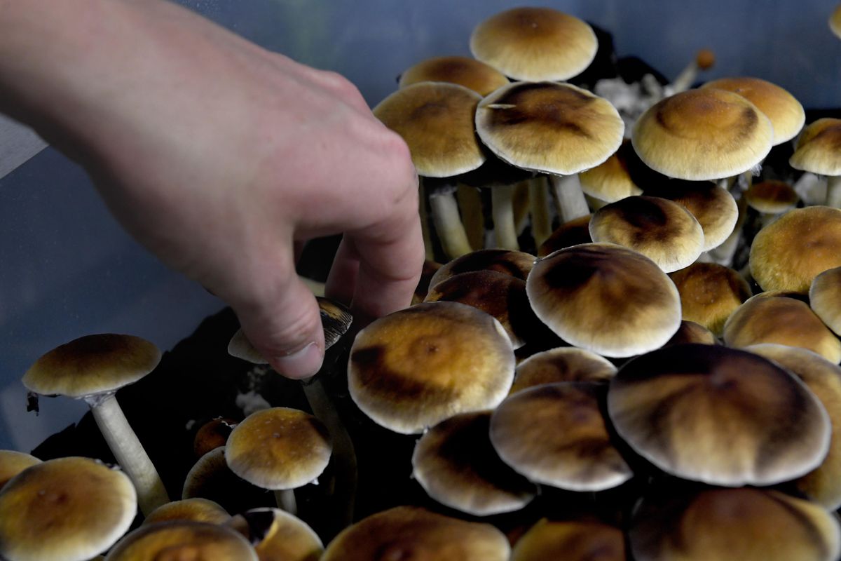 U.S Psychedelics Drug Market Expected to Reach $6.9 Billion by 2027