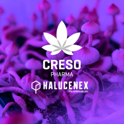 Creso Pharma completes Acquisition of Halucenex Life Sciences