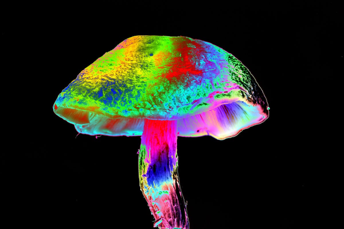 Oregon Releases First Set of Rules for its Therapeutic Psilocybin Program