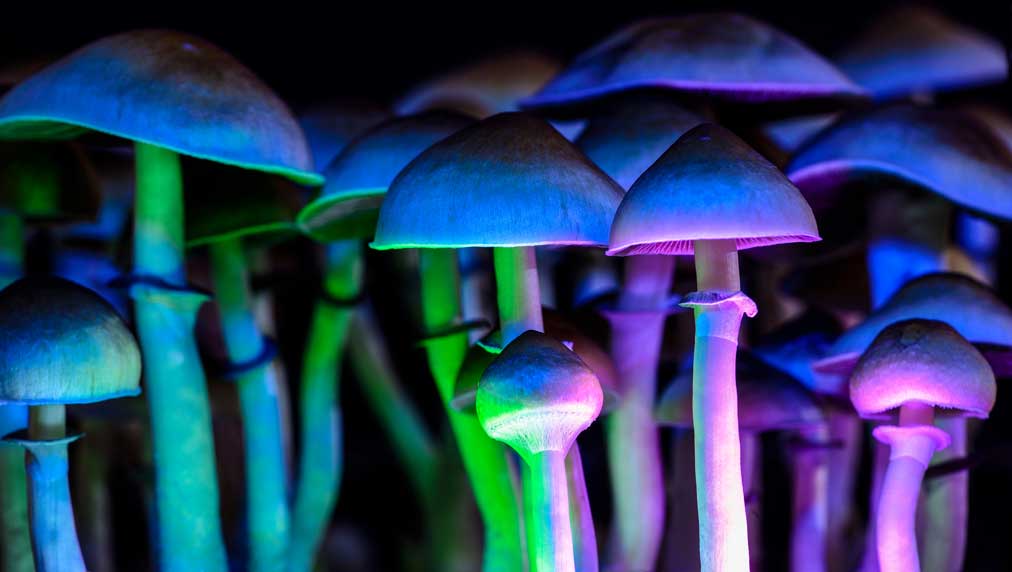 Fluence Raises $3 Million to Level Up Psychedelic Therapy Training